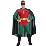 Batman DC Comics Robin Adult Costume