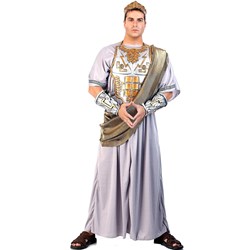 Zeus Adult Costume