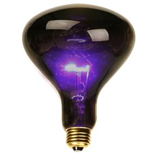 Black Spotlight Bulb (75 Watt)