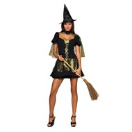 Wizard of Oz Sexy Wicked Witch of the West Adult Costume
