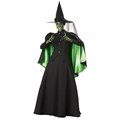 Wicked Witch Ultimate Elite Collection Adult Costume