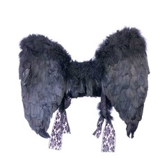 Adult (Black) Feather Angel Wings 