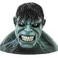 The Incredible Hulk 2008 Movie Deluxe Mask