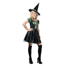 Lime Stripe Witch Teen Costume