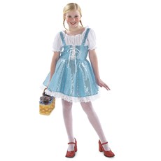 Blue Sparkle Dress Child Costume