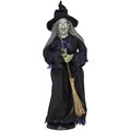 Animated Witch with Broom