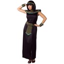 Black/Gold Cleopatra Adult Costume