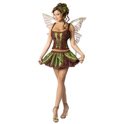 Enchanting Fairy Adult Costume