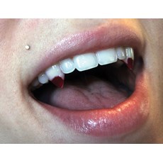 Small Blood Tip Fangs