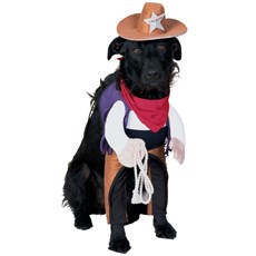 Sheriff Pet Costume