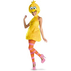 Sesame Street – Big Bird Female Adult Costume