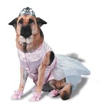 Pet Costume - Princess