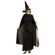 The Wizard of Oz  Wicked Witch  Adult