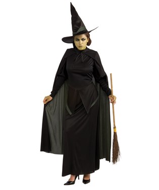The Wizard of Oz  Wicked Witch  Adult Costume