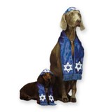 Pet Costume- Pup Shalom Large