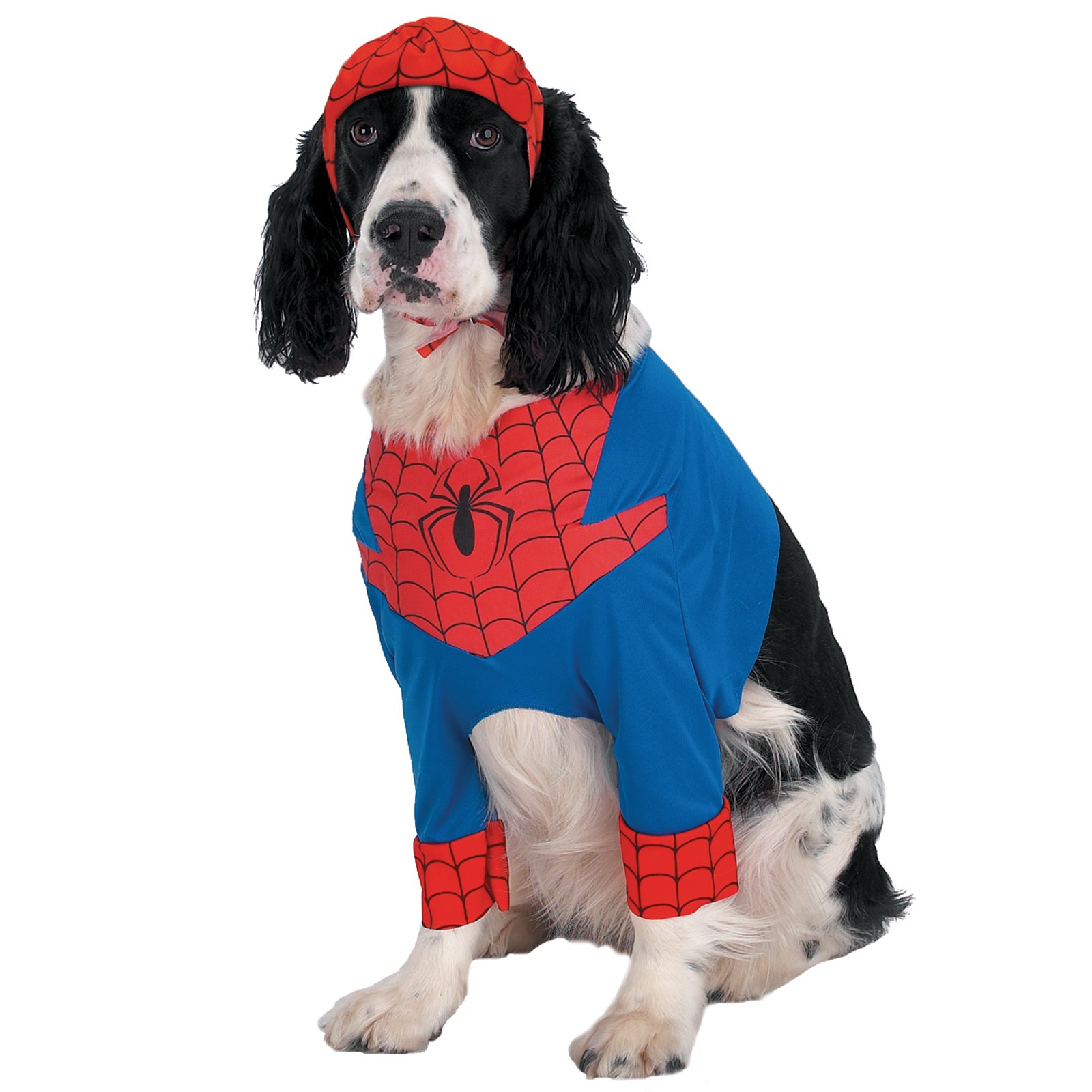 Spider-Man Comic Dog Costume