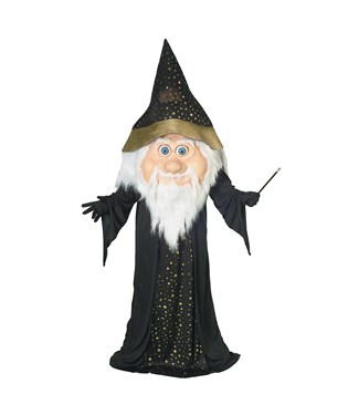 Parade Wizard  Adult Costume
