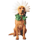Pet Costume-Daisy Dog