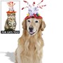 Pet Costume - Birthday Hat