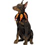Pet Costume - Dog Jester Collar Small