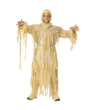 Mummy King  Adult Costume