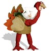 http://www.anrdoezrs.net/click-2271445-10390395?url=http://www.BuyCostumes.com/Turkey-Adult-Costume/17918/ProductDetail.aspx?REF=AFC-showcase&sid=2271445