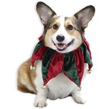 Pet Costume - Christmas Star Collar Small