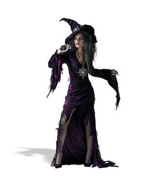 Sorceress Young Adult Costume