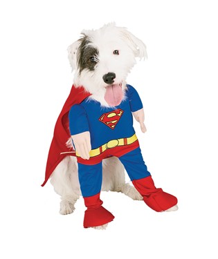Superman Deluxe Dog Costume