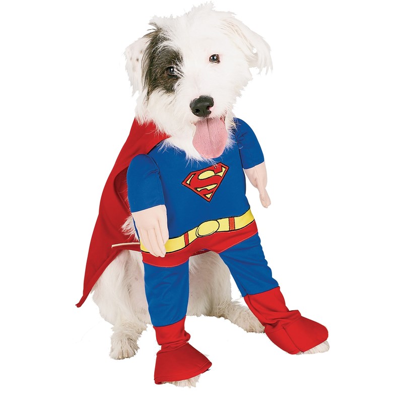 Superman Deluxe Dog Costume for the 2022 Costume season.