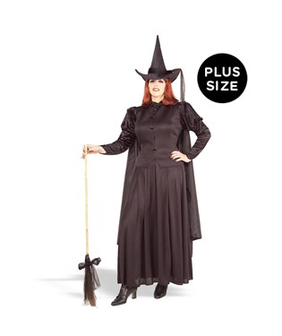 Classic Witch Adult Plus Costume