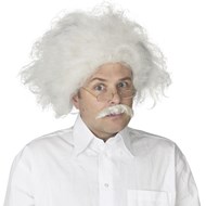 Einstein Wig Adult