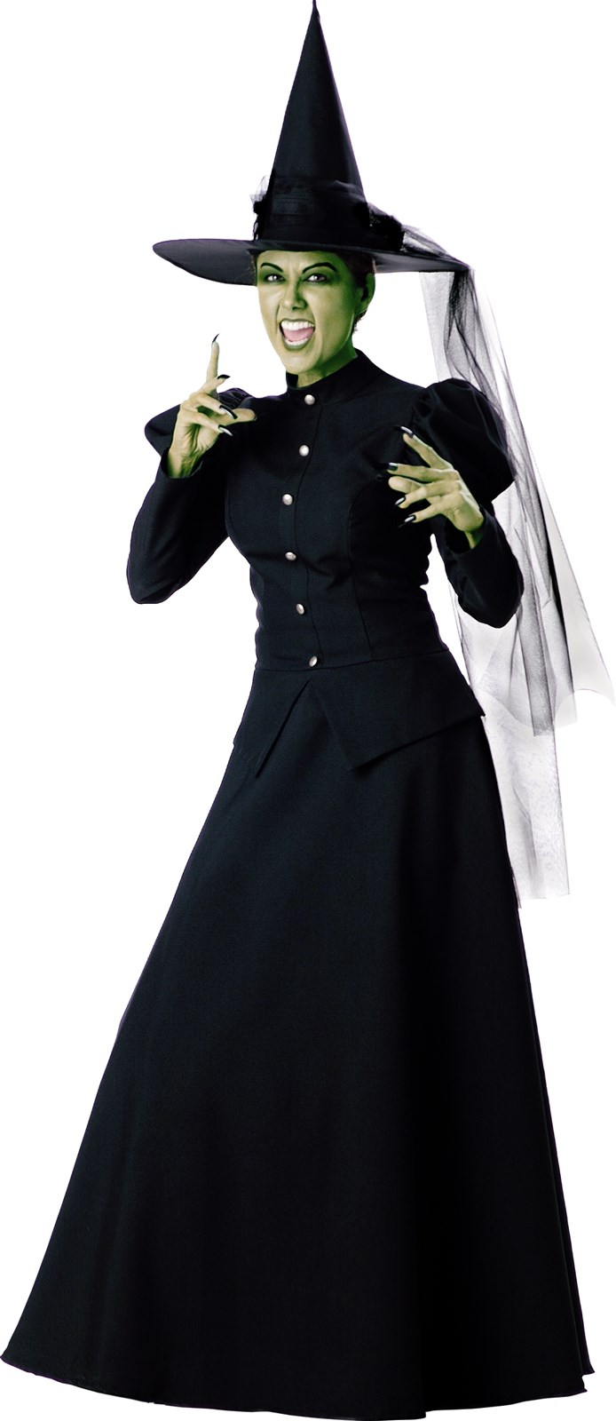 Witch Elite Collection Adult Costume