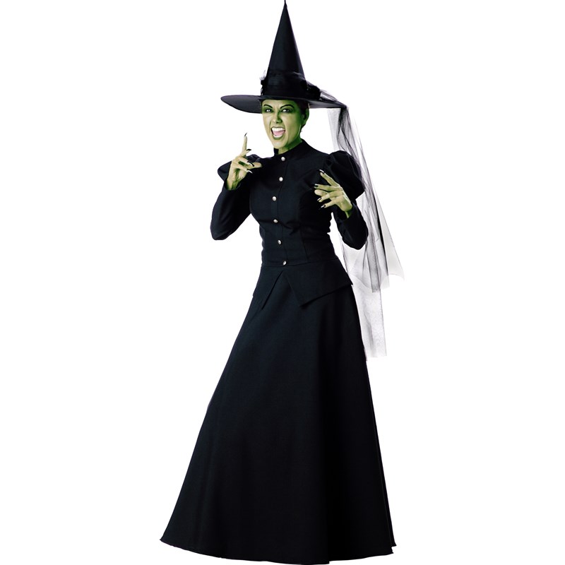 Witch Elite Collection Adult Costume for the 2022 Costume season.