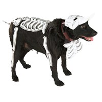 Skeleton Corpse Bride dog costume