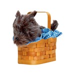 Doggie Basket Handbag