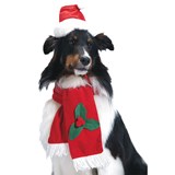 Santa Pet Hat & Scarf for Dogs