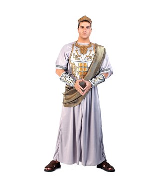 Zeus Adult Costume