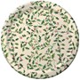 Shades of Holly 10 Paper Dinner Plates (25 count)
