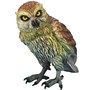 Owl - Latex