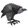 Vulture - Latex