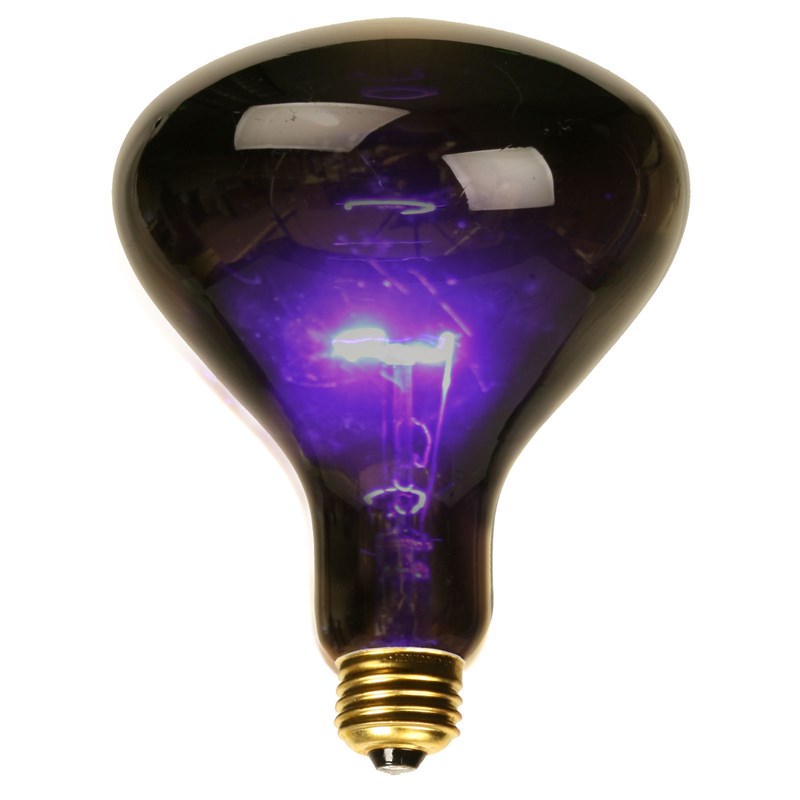 Black Spotlight Bulb (75 Watt) for the 2022 Costume season.