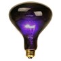 Black Spotlight Bulb (100 Watt)
