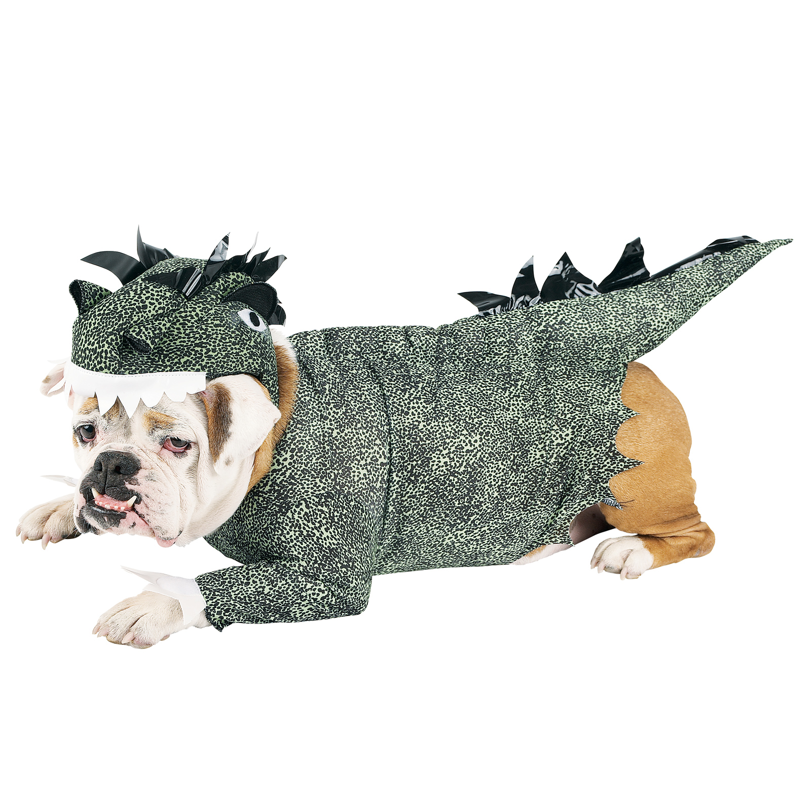 Compare Jurassic Bark Dog