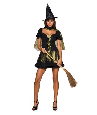 The Wizard of Oz Sexy Wicked Witch of the West Adult Costume