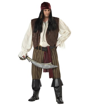 Rogue Pirate Adult Plus Costume