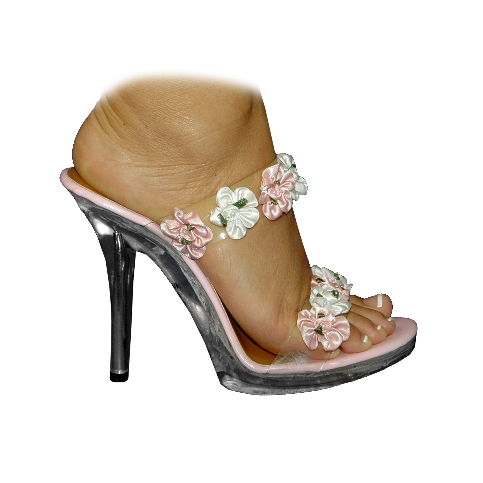 fairy shoes carriage