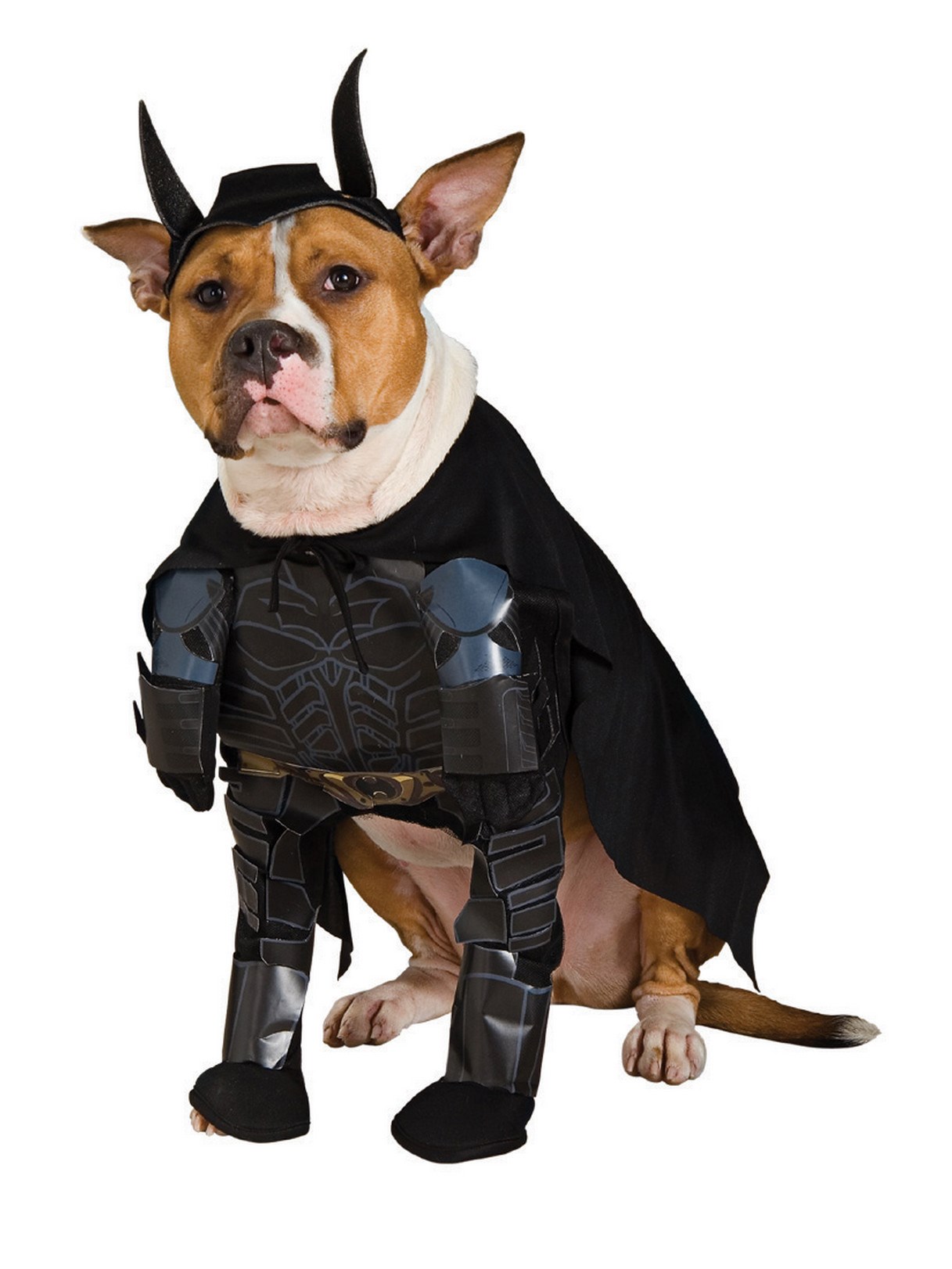 Batman The Dark Knight Rises Dog Costume