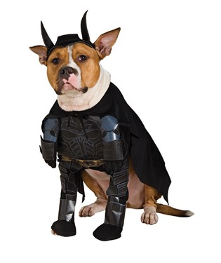 Batman The Dark Knight Rises Dog Costume