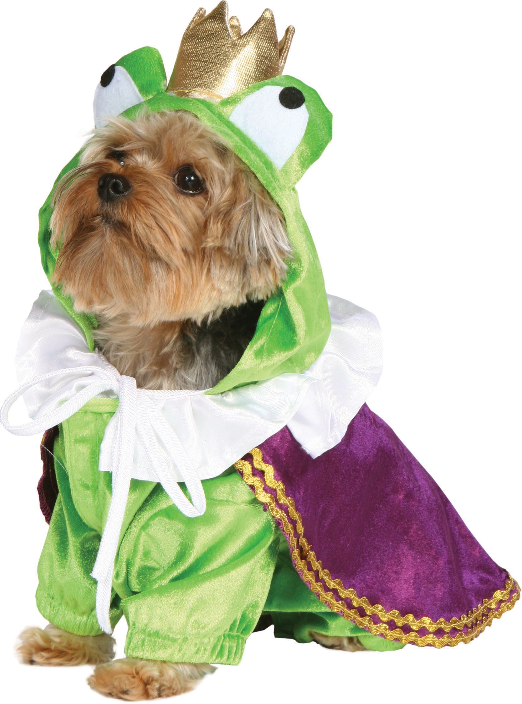 Frog Baby Costume on Frog Prince Dog Costume Dog Halloween Costume   Dog Costumes   Pet